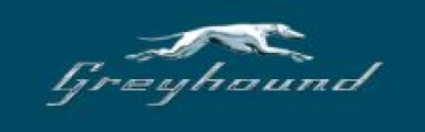 Greyhound